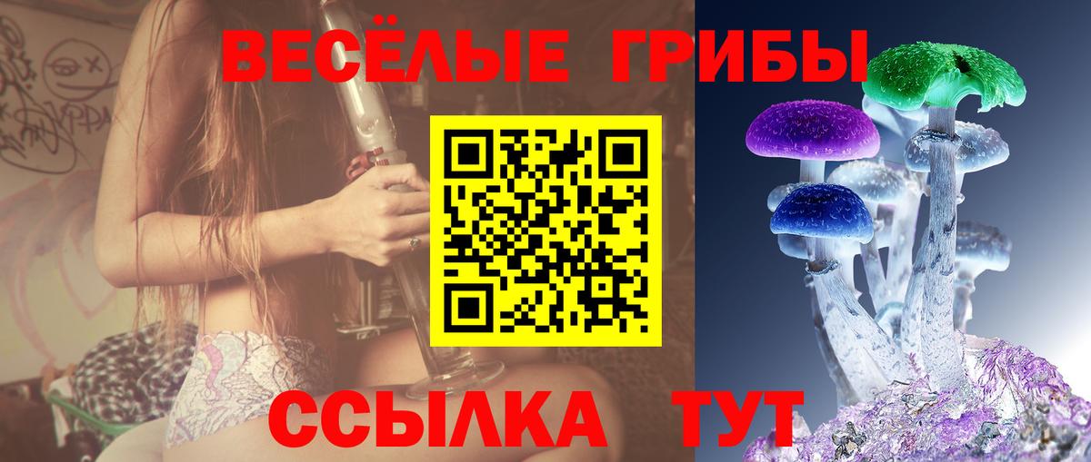 Арсеньев  Псилоцибиновые грибы мицелий  Вход с VPN 