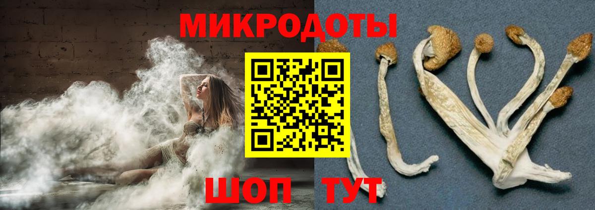 Галлюциногенные грибы Cubensis Арсеньев